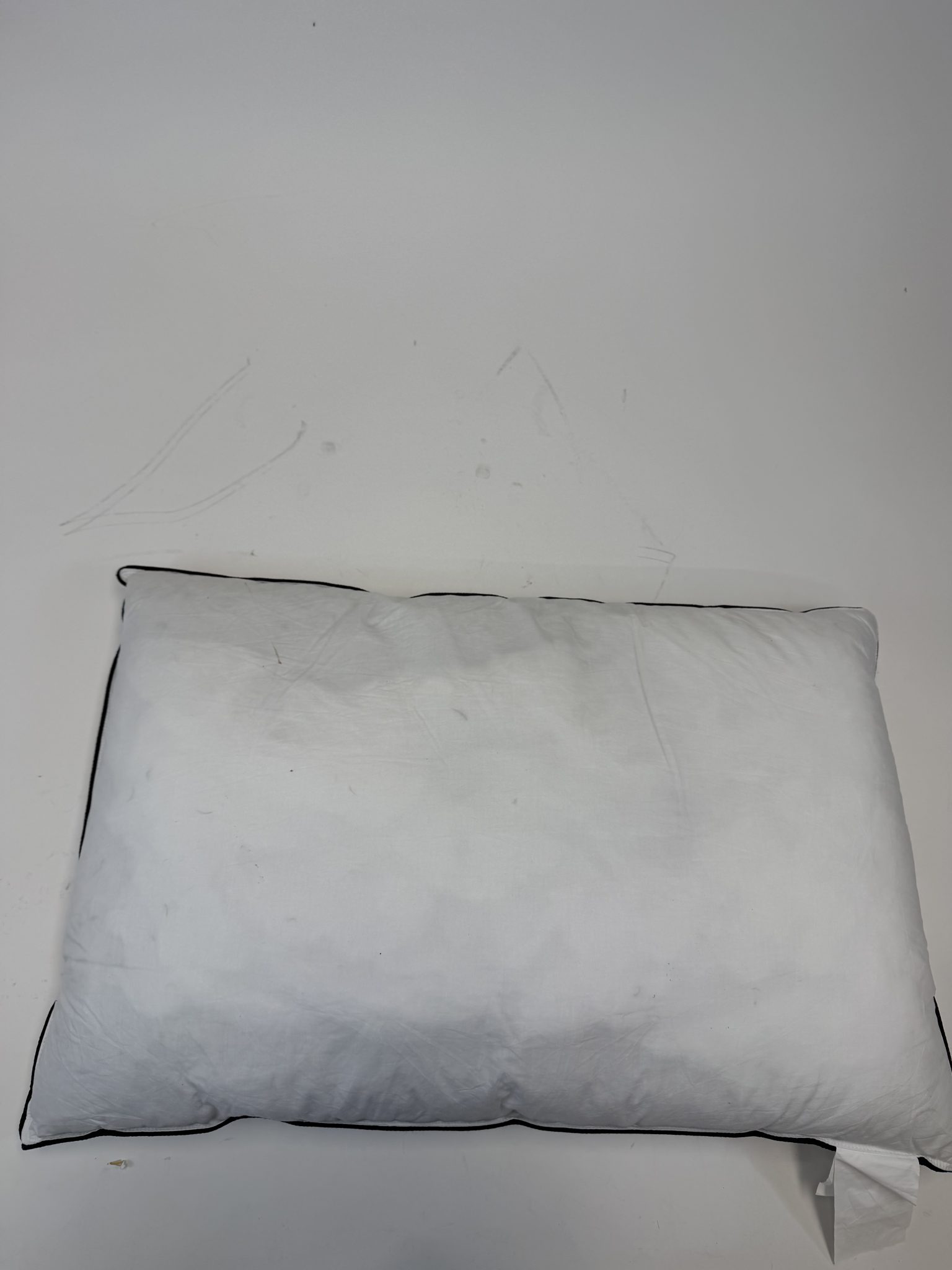Žąsų plunksnų ir pūkų pagalvės, 40 x 60 cm